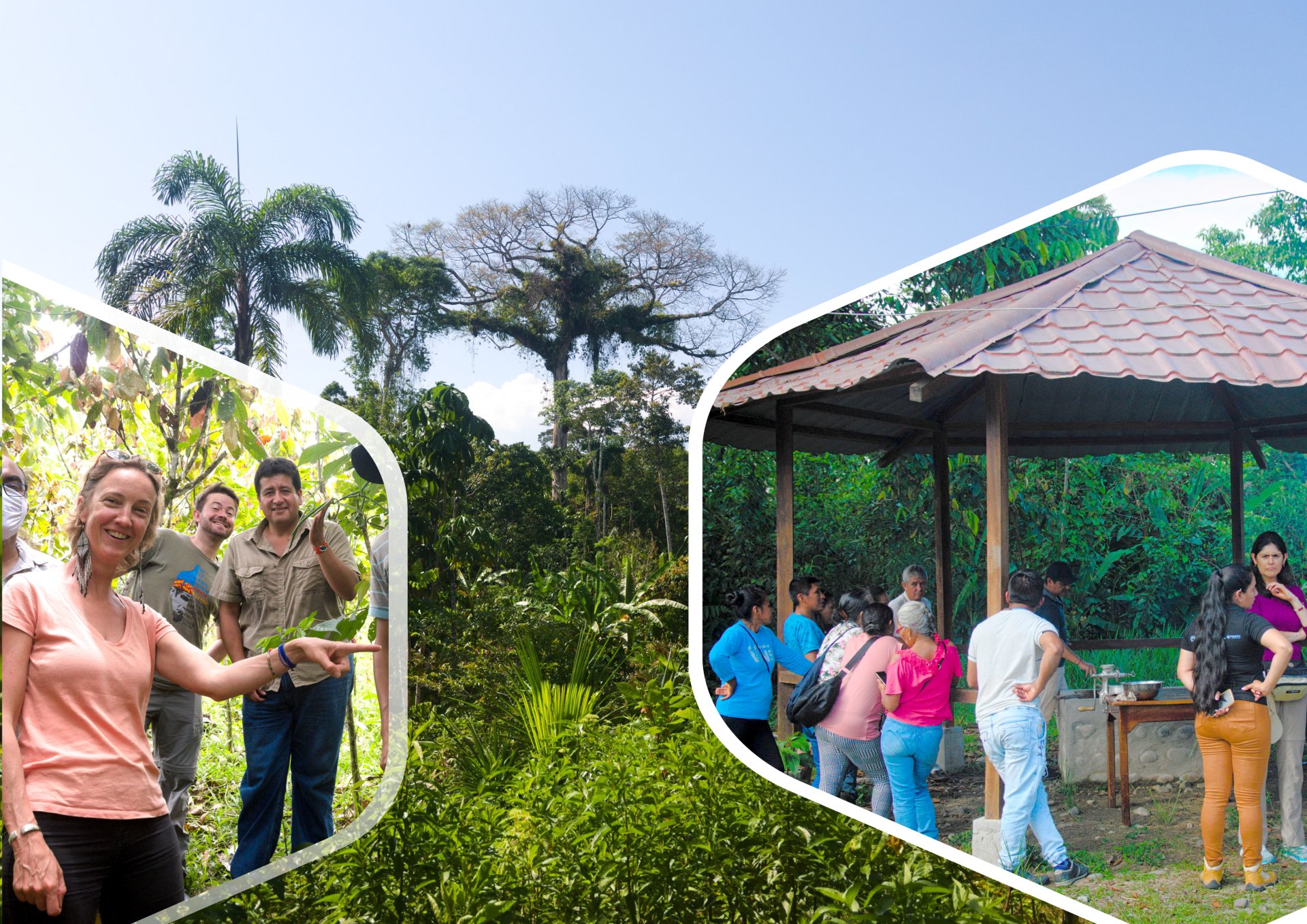 Agroturismo